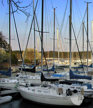 Lake Lanier Real Estate on Lake Lanier Marinas   Lake Lanier Marina Information   Lake Lanier